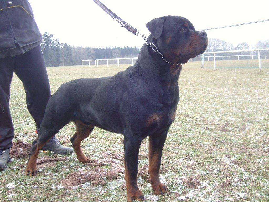 Lennox